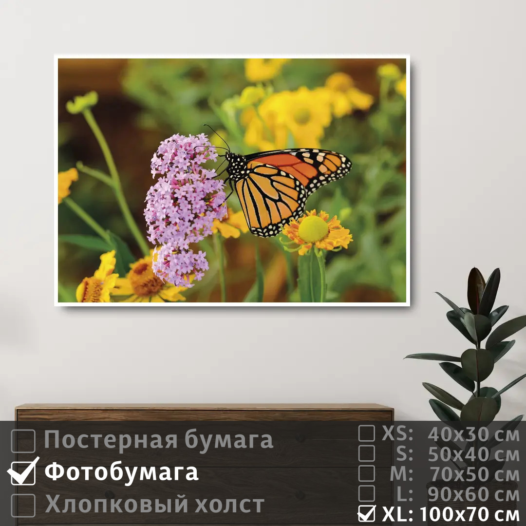 

Постер на фотобумаге ПолиЦентр Бабочка на полевых сиреневых цветах 100х70 см, БабочкаНаПолевыхСиреневыхЦветах1