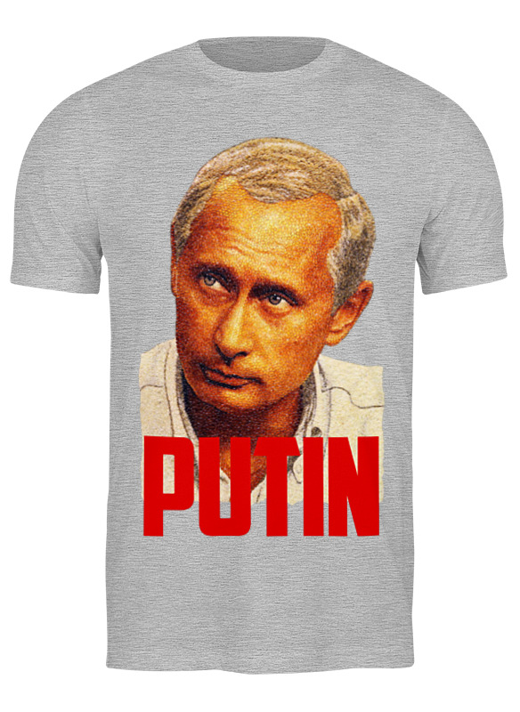 

Футболка мужская Printio Putin серая XL, Серый, Putin