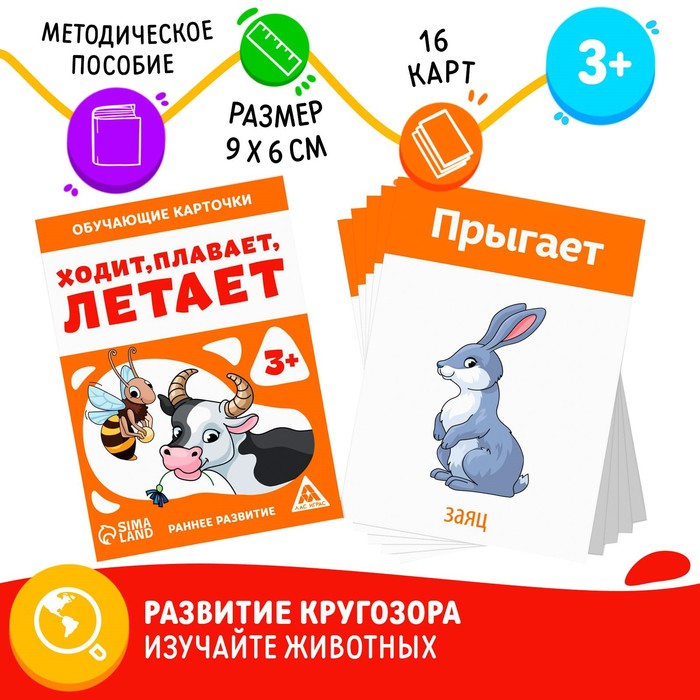 

Обучающие карточки Ходит, плавает, летает, 3+