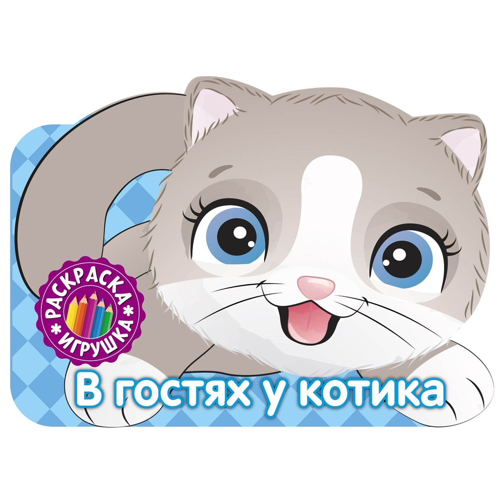 Раскраска-игрушка ND Play В гостях у котика 319₽