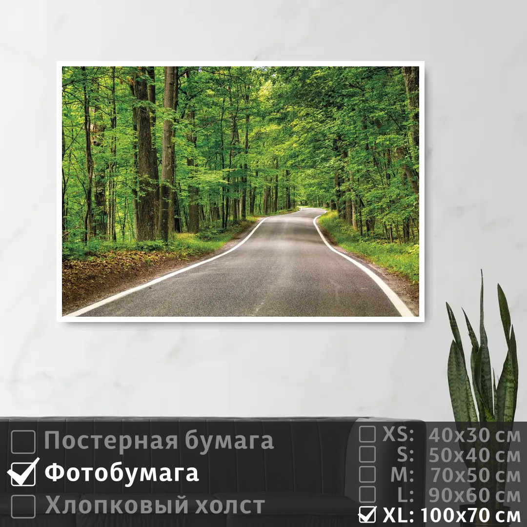 

Постер на фотобумаге ПолиЦентр Дорога уходящая вдаль в летнем лесу 100х70 см, ДорогаУходящаяВдальВЛетнемЛесу1