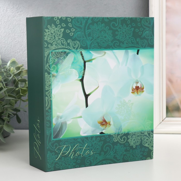 

Фотоальбом на 200 фото 10х15 см, пластик. листы bloom Орхидеи, Зеленый