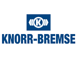 Knorr-Bremse K159126N50 K159126N50_Камера Тормозная! Bs2428 T20 Левая Для Дискового Торм.\