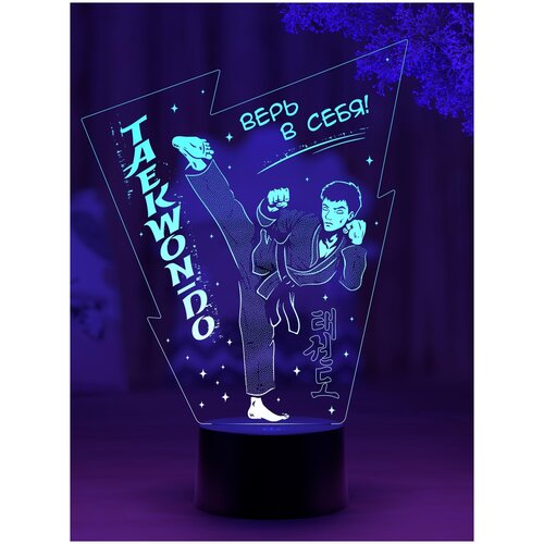

Сувенирный ночник "Тхэквондо (Мальчик)"