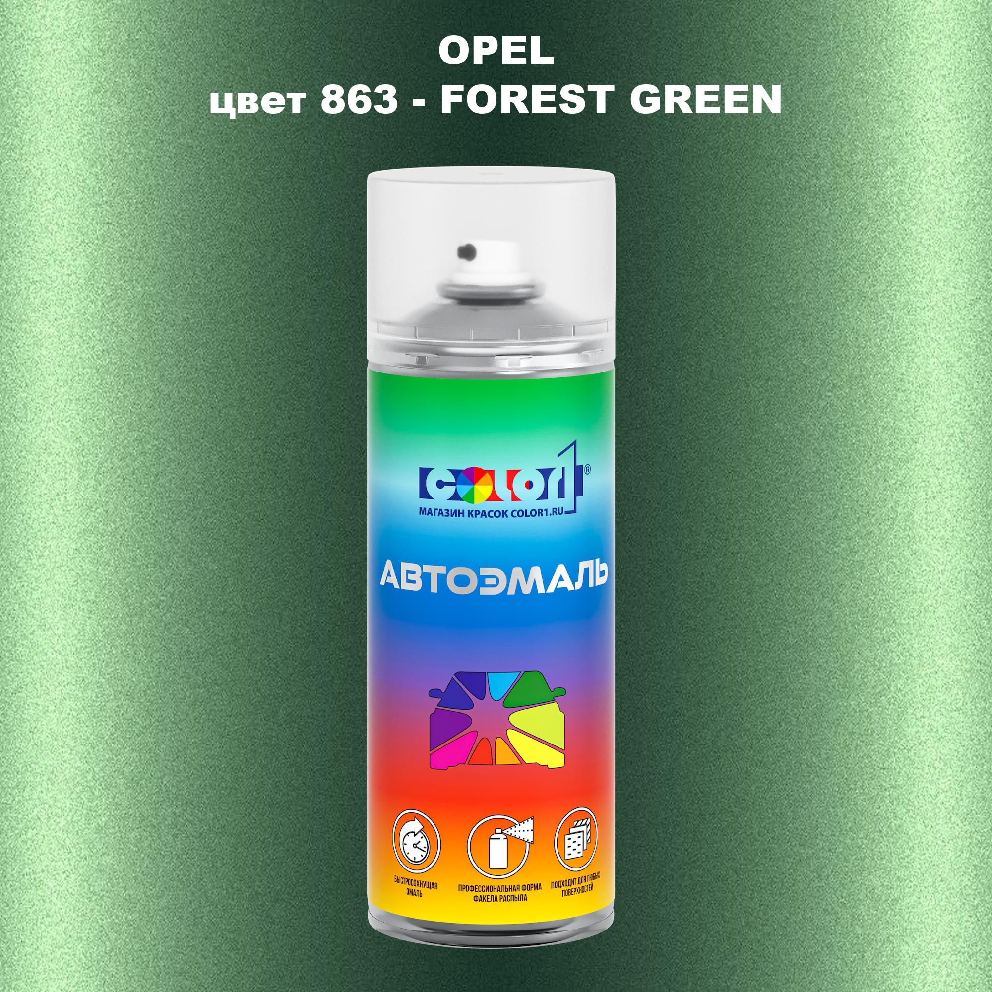 

Аэрозольная краска COLOR1 для OPEL, цвет 863 - FOREST GREEN, Прозрачный