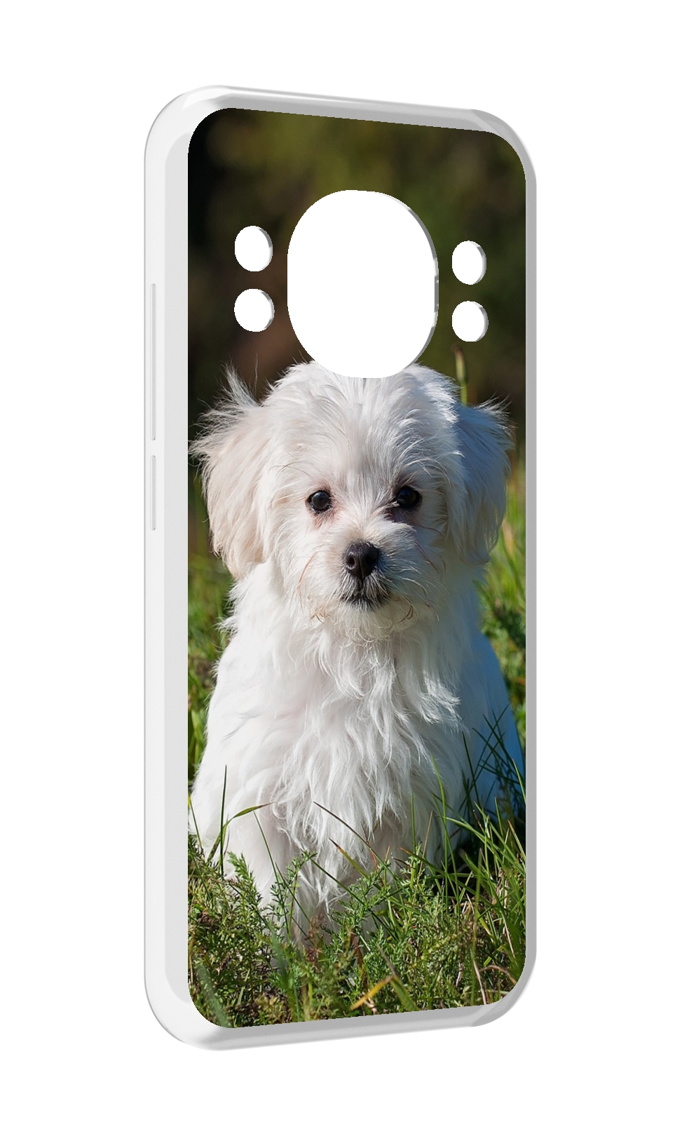 

Чехол MyPads мальтииская-болонка для Doogee S98 / S98 Pro, Прозрачный, Tocco