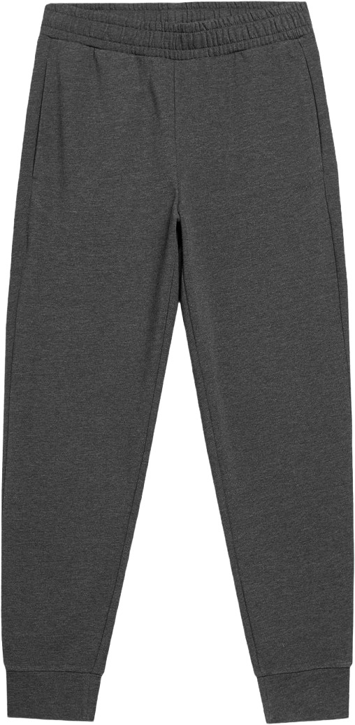 

Спортивные брюки мужские Outhorn HOL22-SPMD600 серые L, HOL22-SPMD600