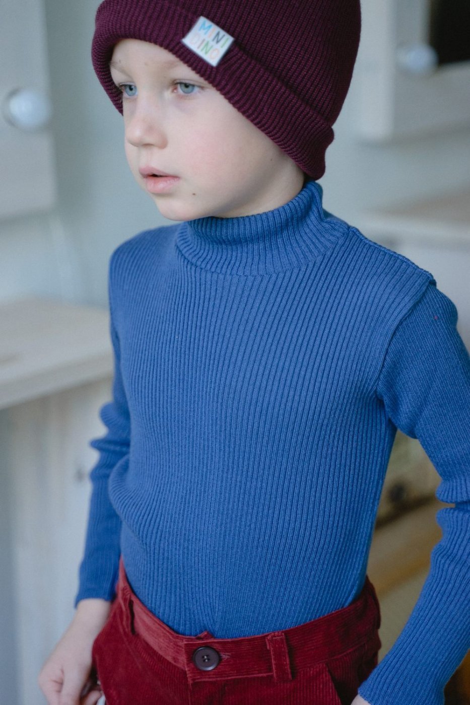 

Водолазка детская Minidino ВЯЗ-В-002, деним, 104, Синий, ВЯЗ-В-002