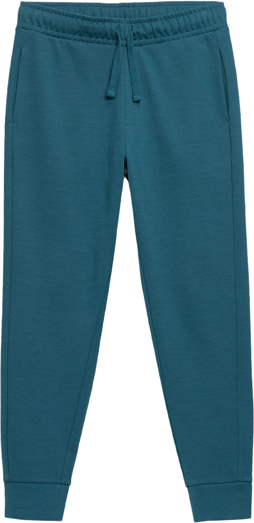 

Спортивные брюки мужские Outhorn HOL22-SPMD606 синие M, Синий, HOL22-SPMD606