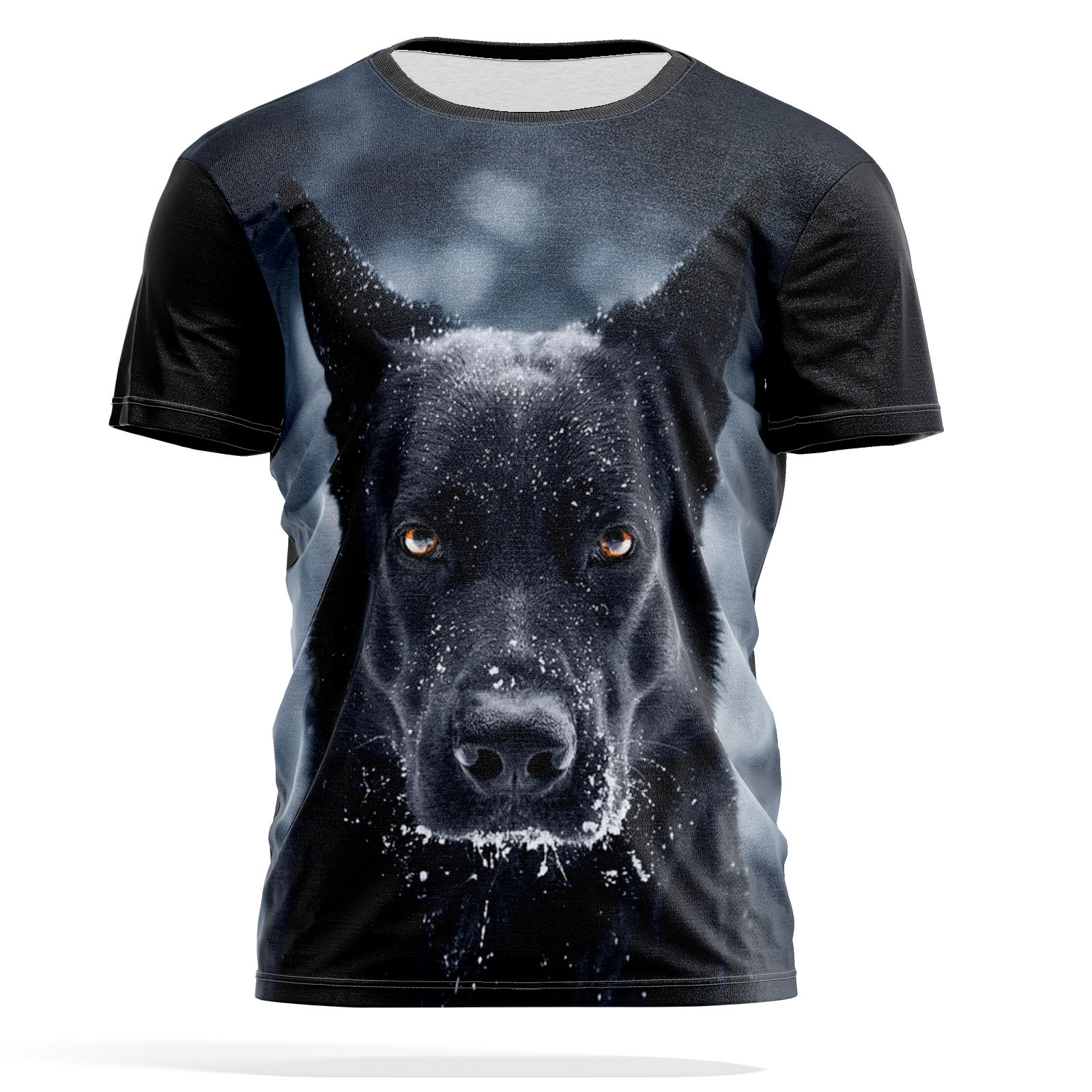 

Футболка мужская PANiN PaninManTshirt_VM1524005 разноцветная L, Черный, PaninManTshirt_VM1524005