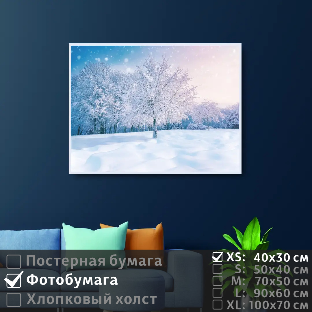 

Постер на фотобумаге ПолиЦентр Лес зимний пейзаж 40х30 см, ЛесЗимнийПейзаж