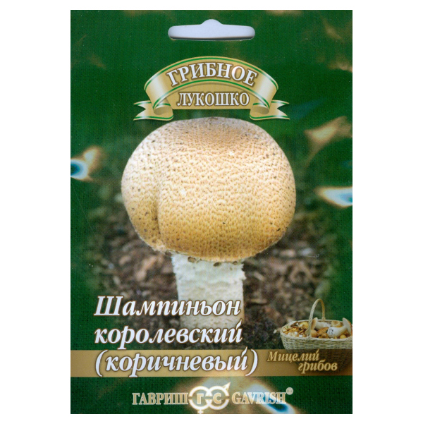 

Мицелий зерновой шампиньон Коричневый Гавриш