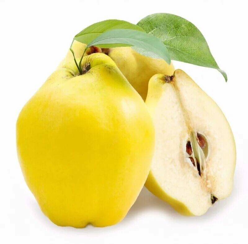 

Айва