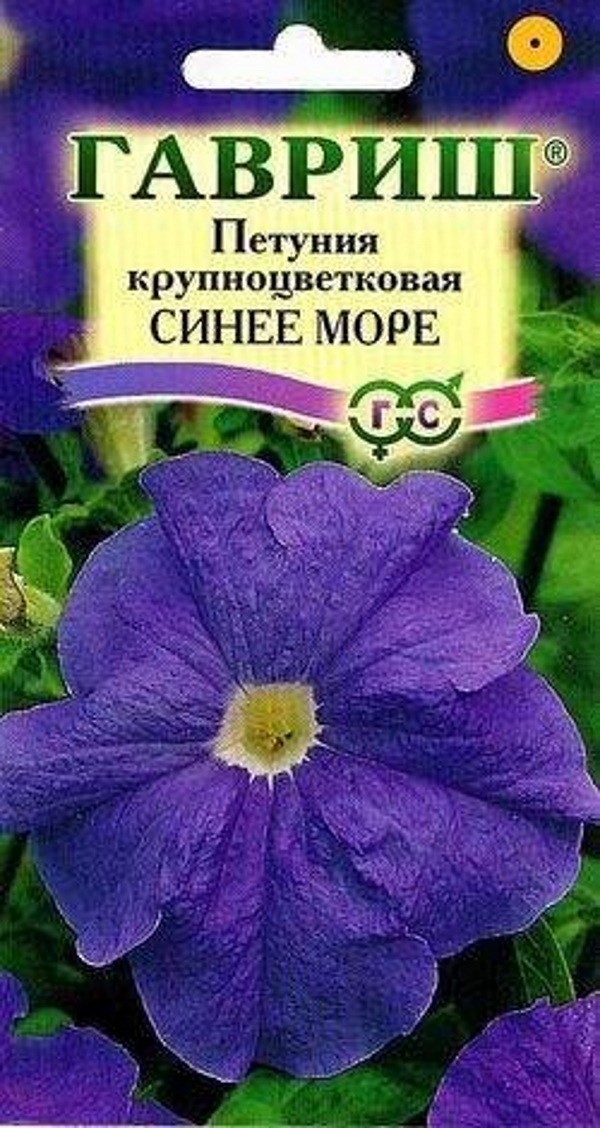

Семена. Петуния крупноцветковая "Синее море" (10 штук)