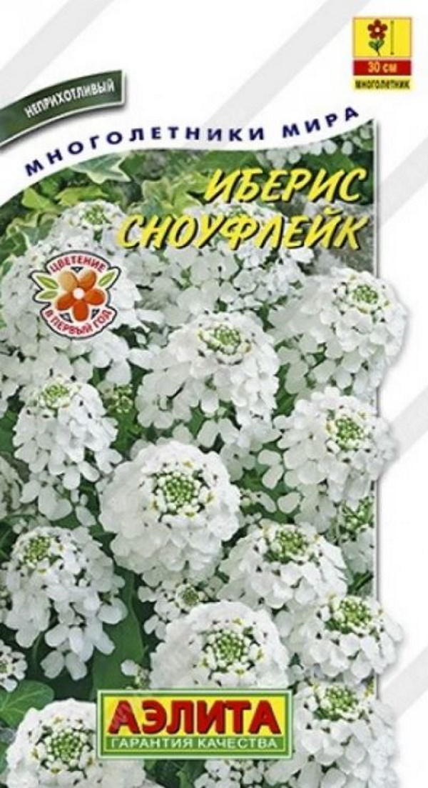 

Семена иберис Аэлита Сноуфлейк 1 уп.