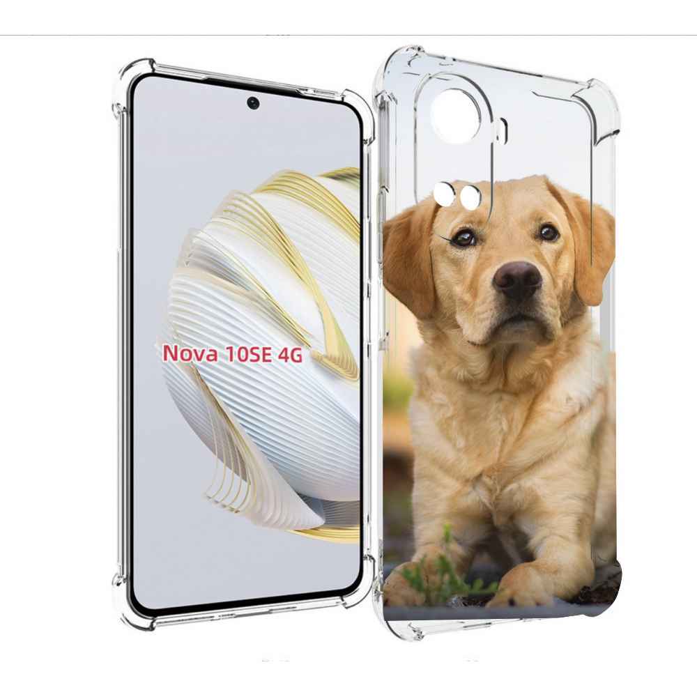

Чехол MyPads лабрадор ретривер для Huawei Nova 10 SE, Прозрачный, Tocco