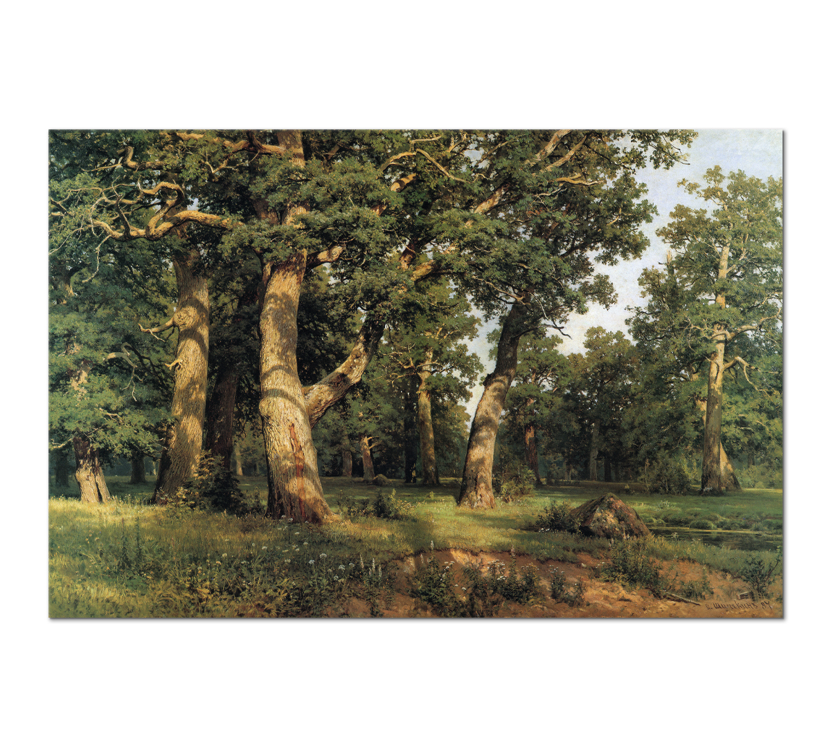 

Картина интерьерная на холсте Poly Print Art Дубовая роща Шишкин И. И. 40х60 см.
