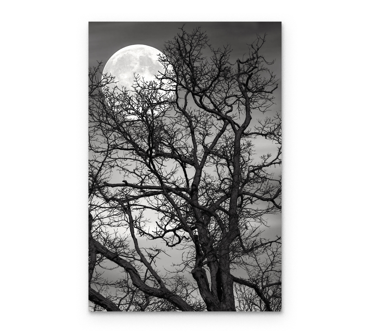 

Картина интерьерная на холсте Poly Print Art Полнолуние 40х60 см.