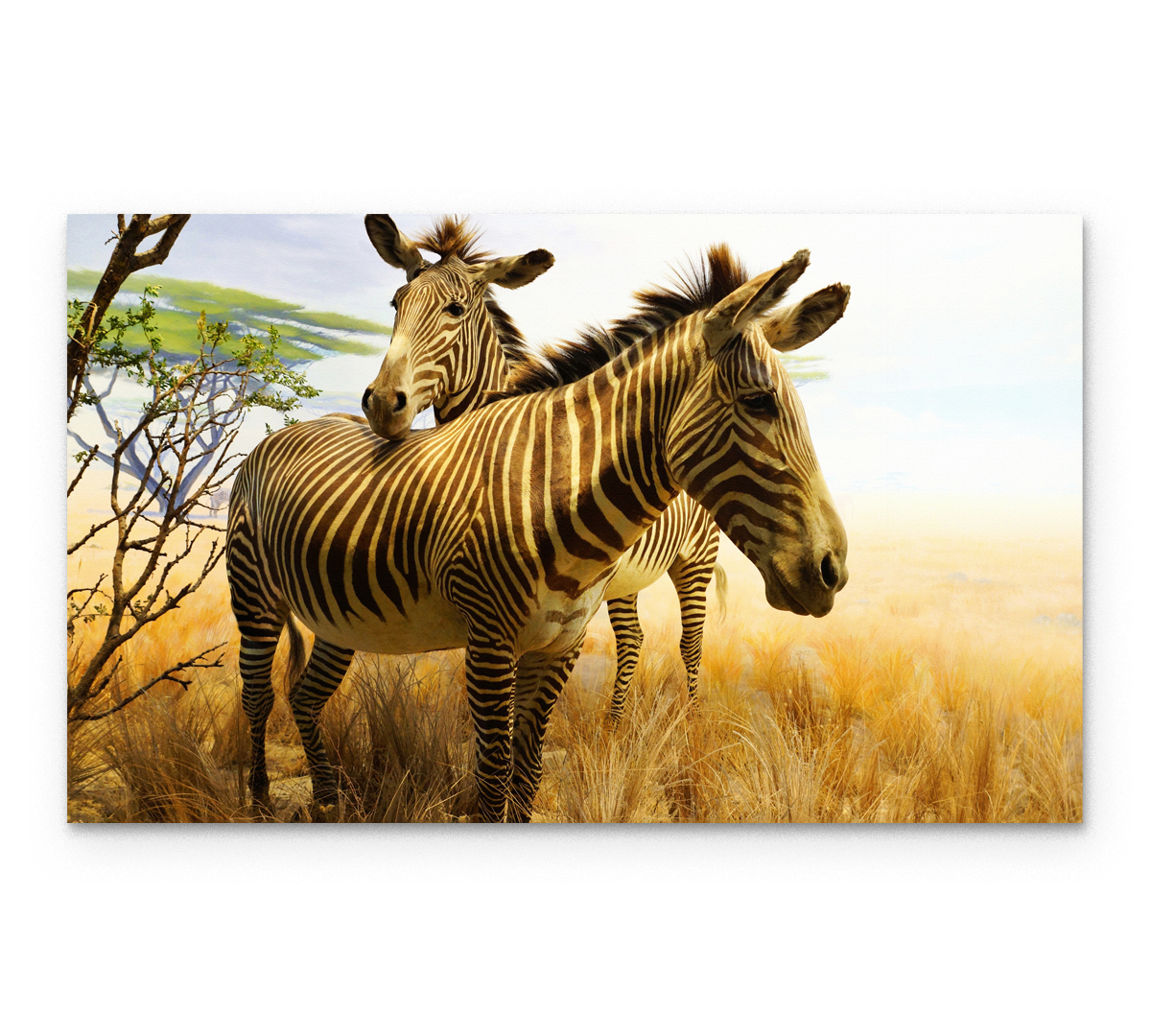 

Картина интерьерная на холсте Poly Print Art Зебры в саванне 50х30 см