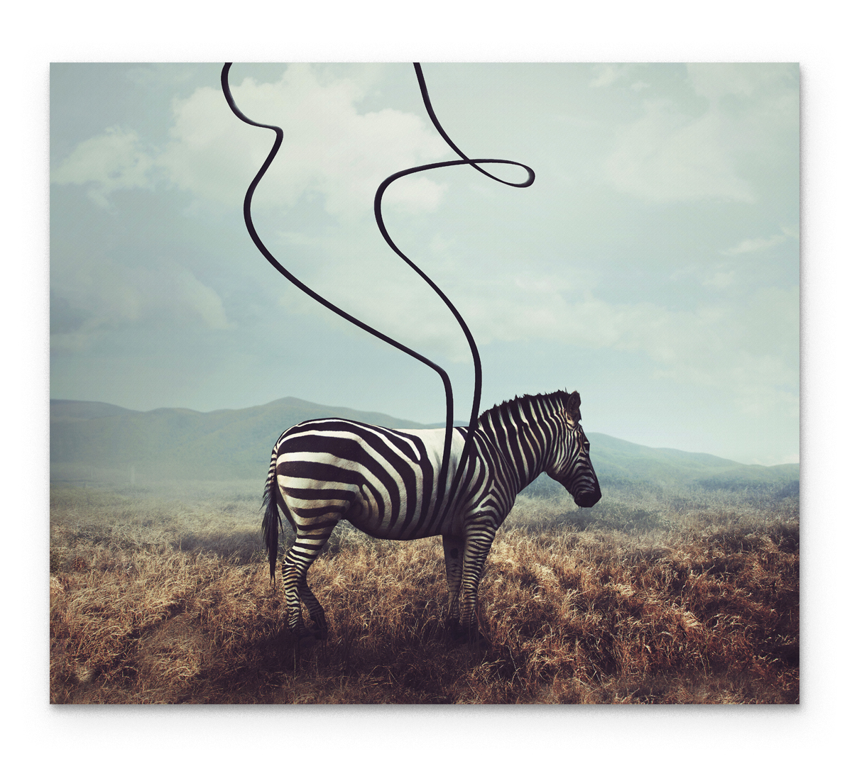 

Картина интерьерная на холсте Poly Print Art Перевоплощение 60х50 см.