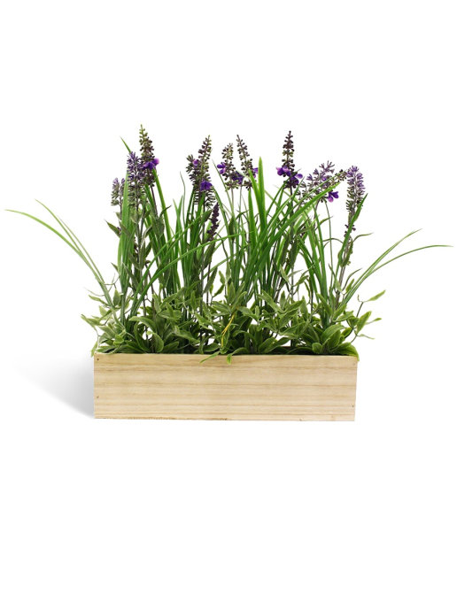 фото Лаванда в деревянном кашпо 12.5" lavendar in wooden basin qsa gerard de ros