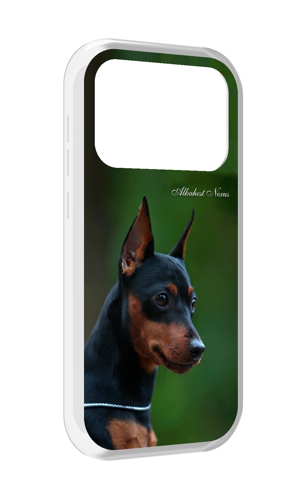 

Чехол MyPads цвергпинчер черпинчер для Oukitel F150 Air1 Pro / F150 Air1, Прозрачный, Tocco