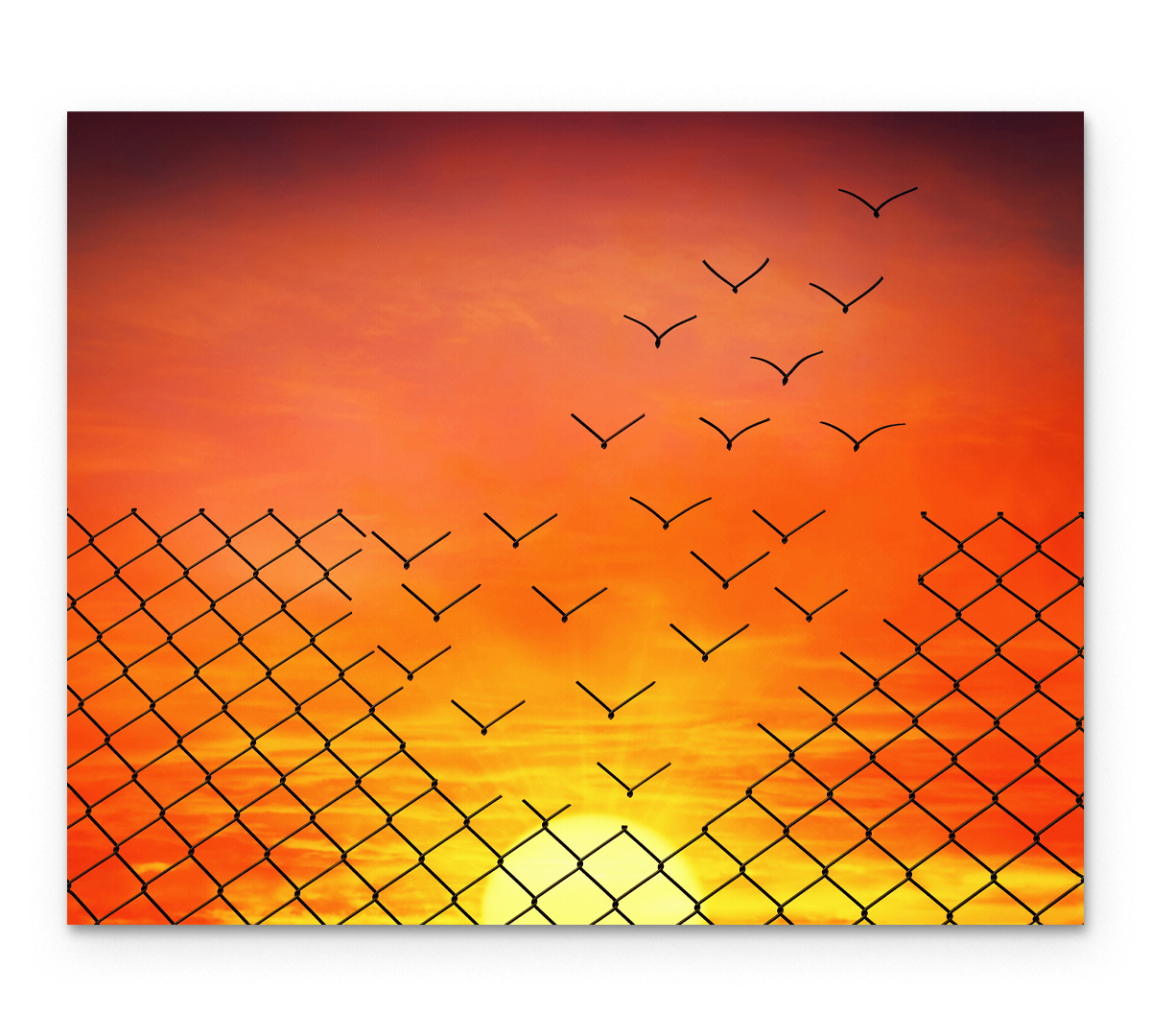 

Картина интерьерная на холсте Poly Print Art Птицы 60х50 см.