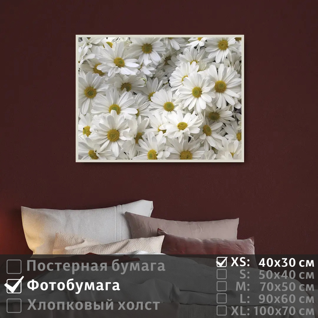 

Постер на фотобумаге ПолиЦентр Белые цветы ромашки 40х30 см, БелыеЦветыРомашки