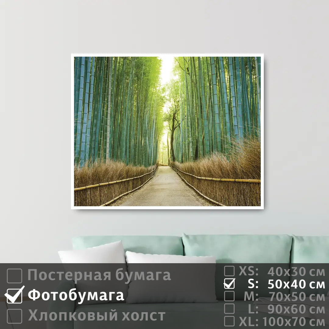 

Постер на фотобумаге ПолиЦентр Бамбуковый лес в японии 50х40 см, БамбуковыйЛесВЯпонии