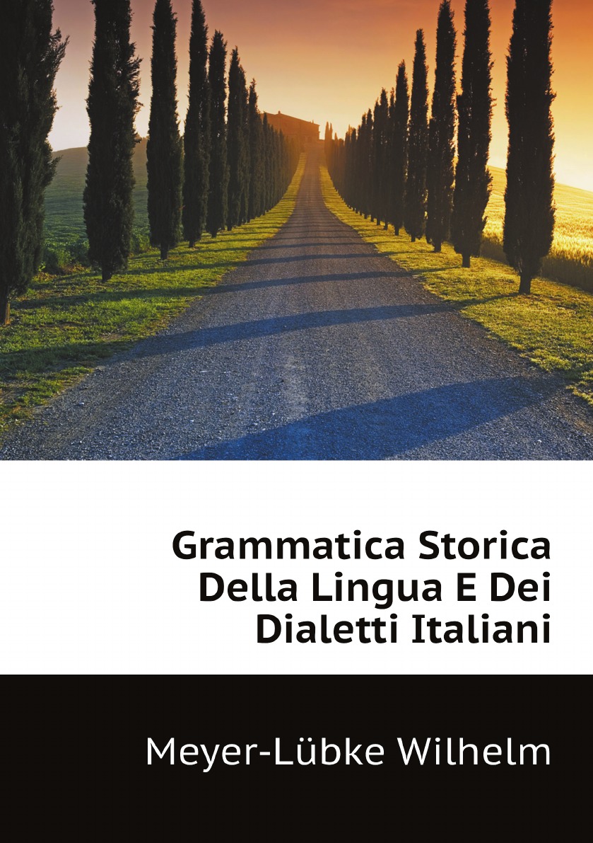 

Grammatica Storica Della Lingua E Dei Dialetti Italiani