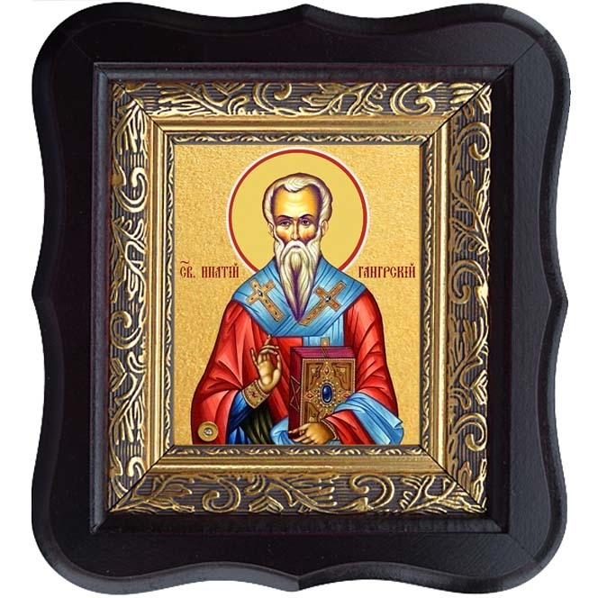 

Ипатий епископ Гангрский чудотворец. Икона на холсте.