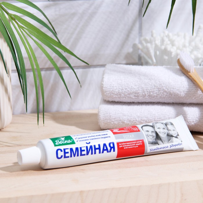 Зубная паста Весна семейная , 90 г семейная библия