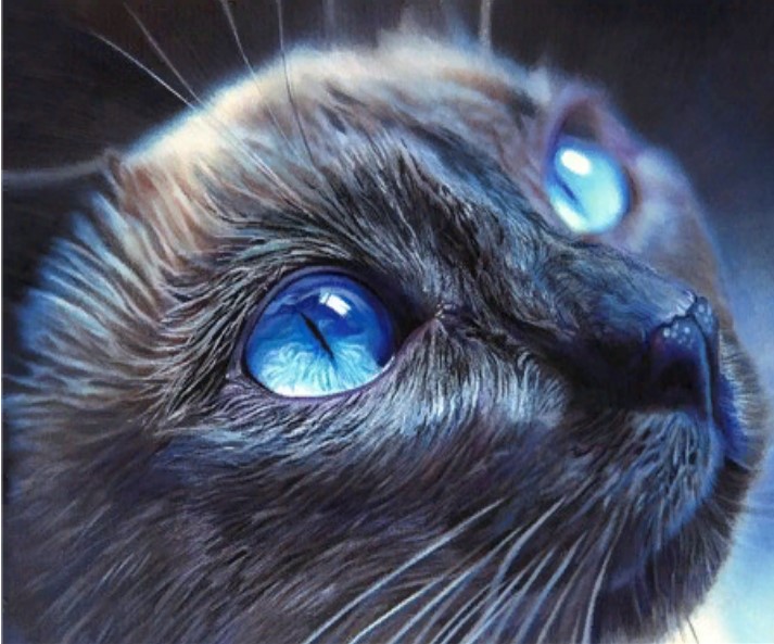 фото Алмазная мозаика картина стразами голубоглазый котик, 40х50 см nobrand