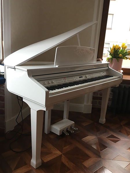 Цифровой рояль, с автоаккомпанементом, белый (2 коробки), Orla Grand-120-WHITE