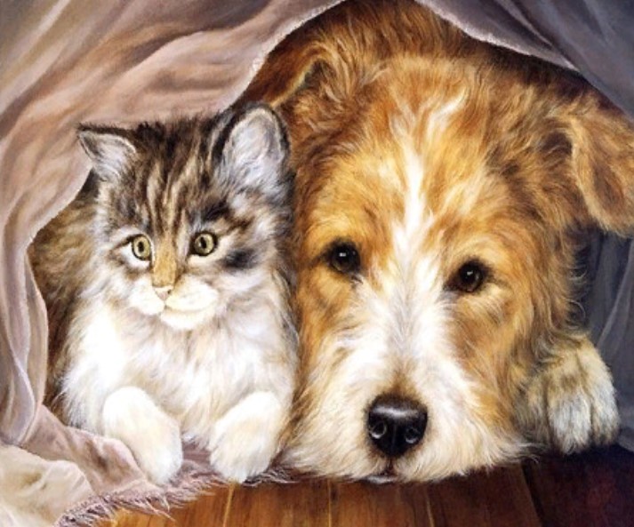 фото Алмазная мозаика картина стразами котик с собакой под одеялом, 30х40 см nobrand