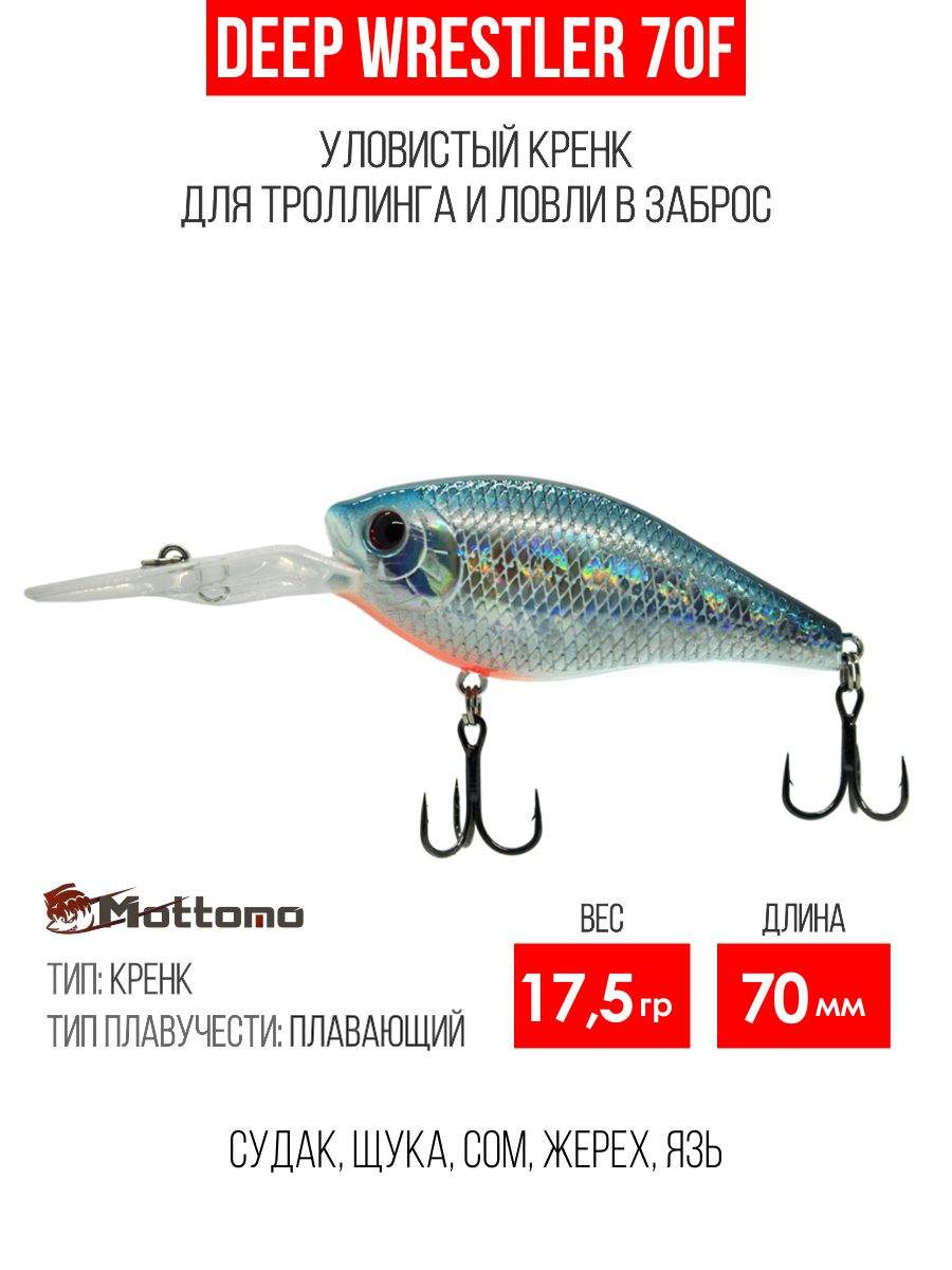 

Воблер Mottomo Deep Wrestler 70F 17,5g Silver Minnow, Разноцветный, Deep Wrestler