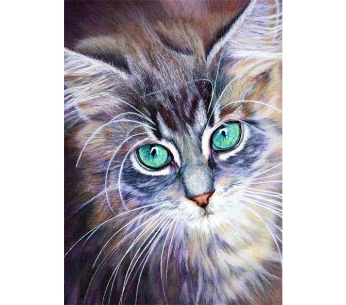 

Алмазная мозаика картина стразами Кошка, 40х50 см, 00114983