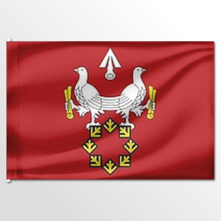 

Флаг ЦТП ФЕНИКС Ахматовского сельского поселения 135x90 см, 7401-135x90