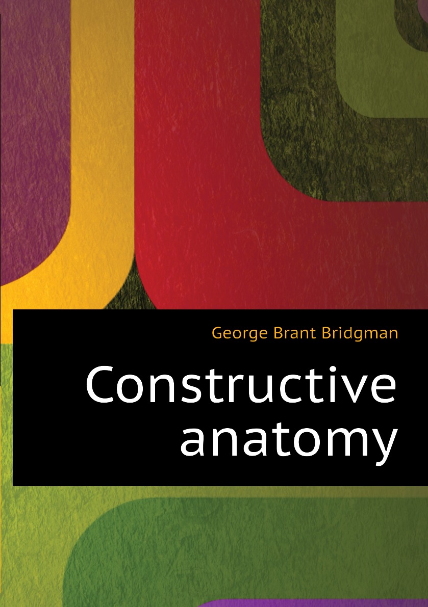 

Constructive anatomy