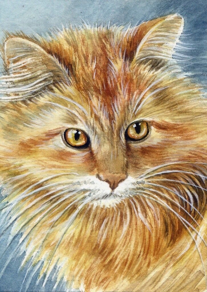 

Алмазная мозаика картина стразами Рыжий котик, 30х40 см, 00114497