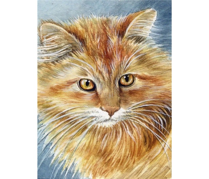 

Алмазная мозаика картина стразами Рыжий котик, 40х50 см, 00115076