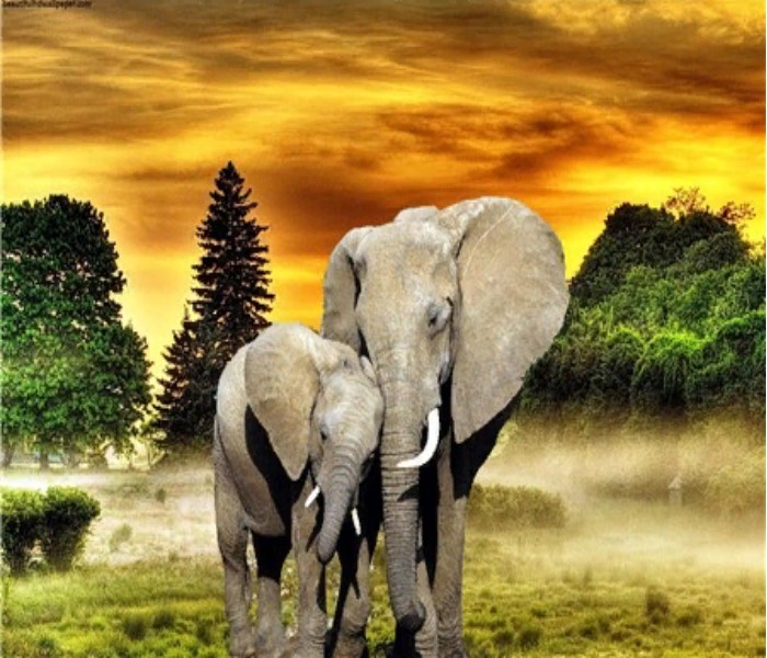 фото Алмазная мозаика картина стразами слон со слонёнком, 40х50 см nobrand