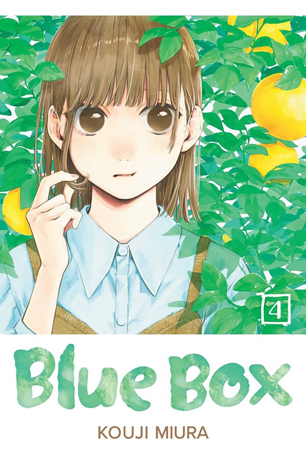 

Blue Box. Volume 4
