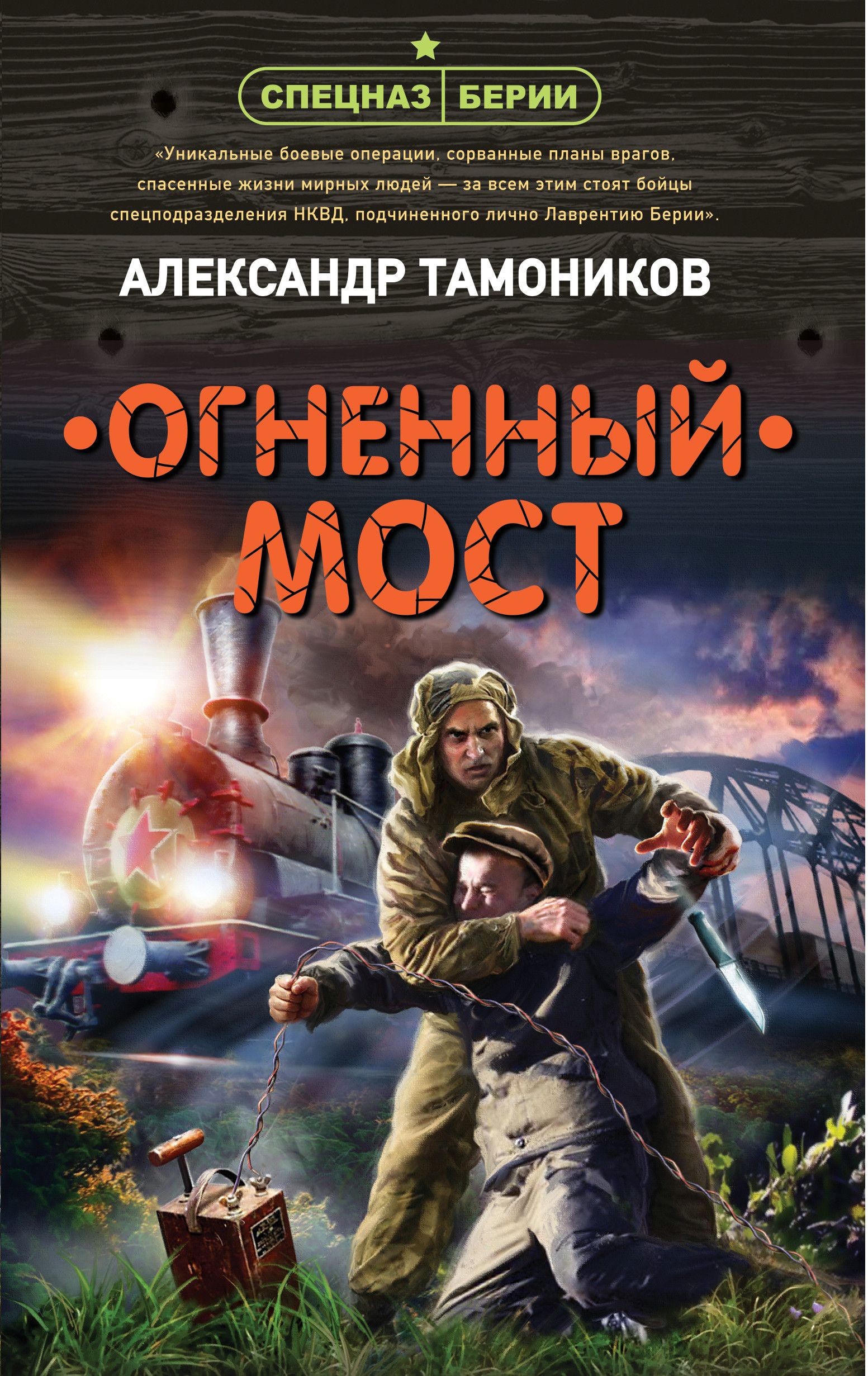 

Книга Огненный мост
