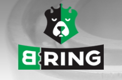 

BRING HBK1479 Ступица в сборе