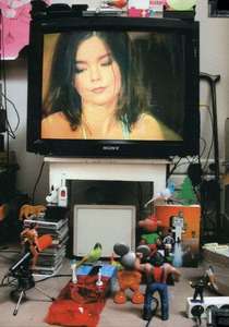 

Bjork - MTV Unplugged & Live (DVD), Bjork - MTV Unplugged & Live