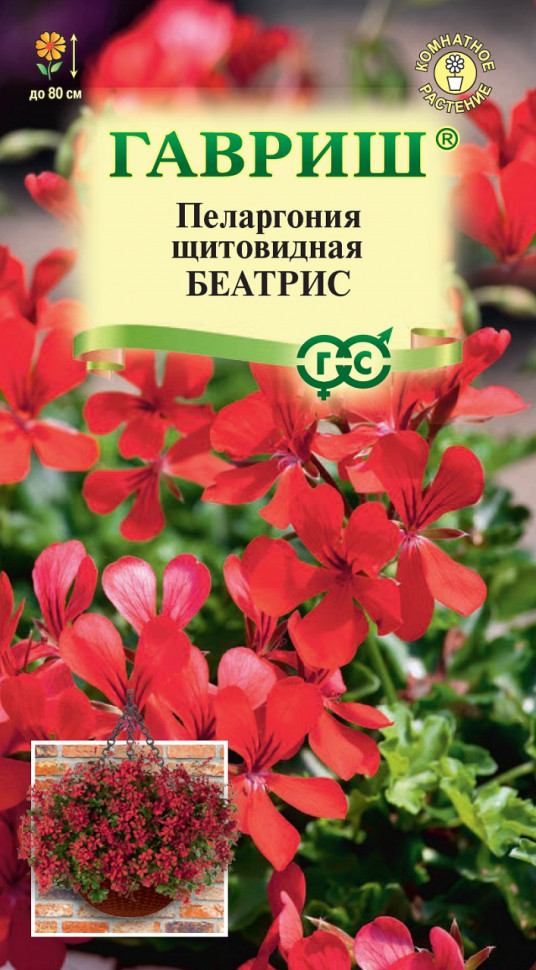 

Семена пеларгония Беатрис Гавриш 107185009-1 1 уп.
