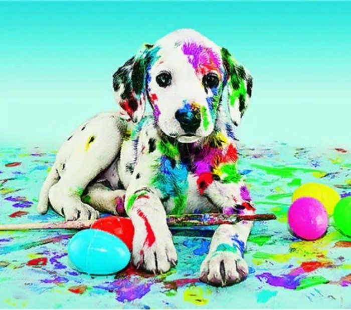 фото Алмазная мозаика картина стразами щенок в краске, 50х65 см nobrand
