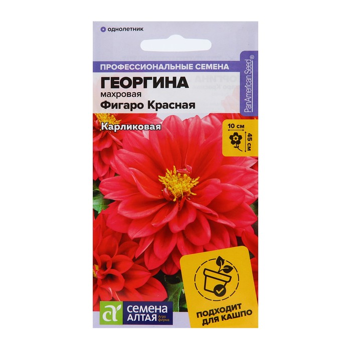 

Семена цветов георгина Семена Алтая Фигаро красная махровая 5 шт, Георгина Фигаро