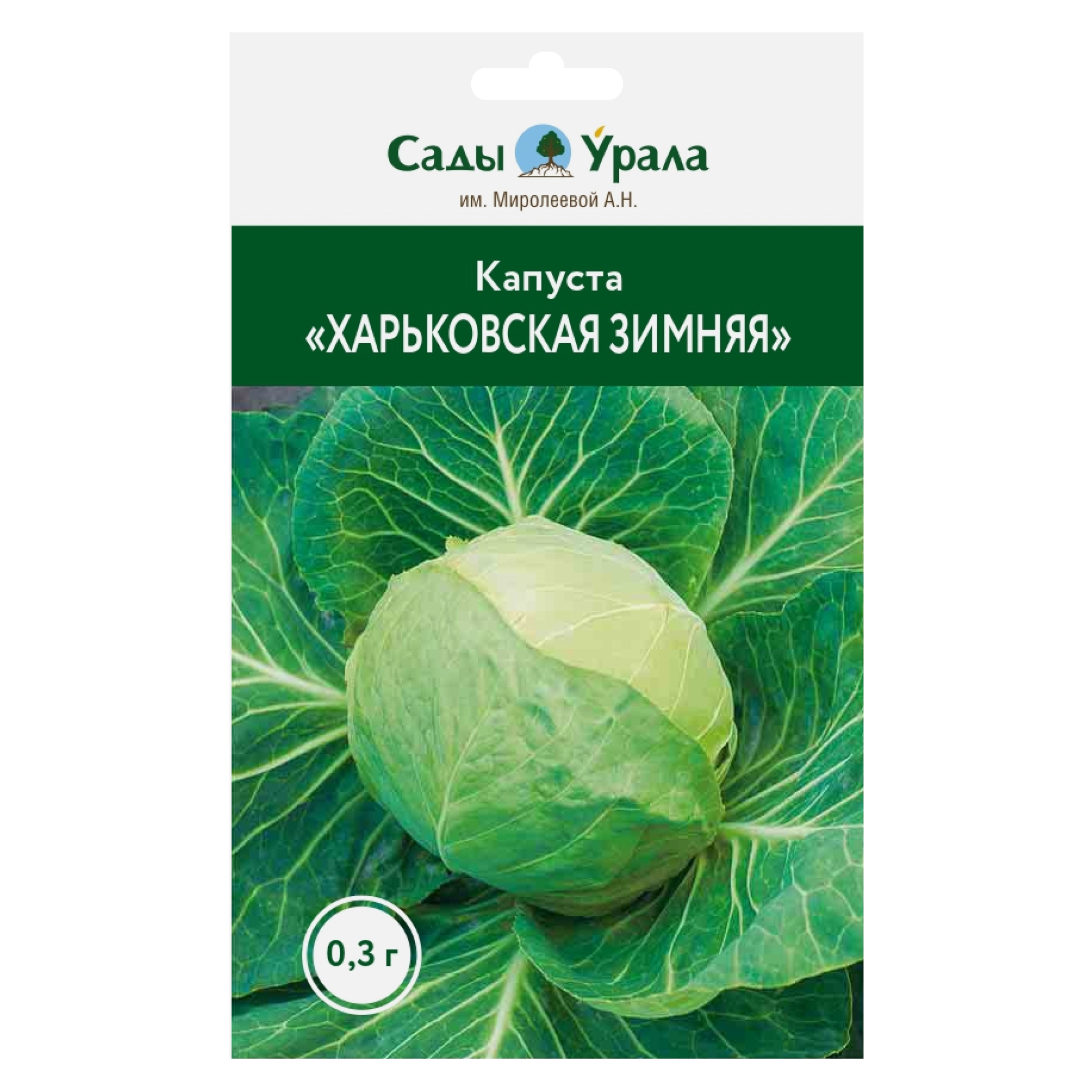 

Семена капуста белокочанная Сады Урала Харьковская зимняя 50043 1 уп., Капуста белокочанная «Харьковская зимняя»